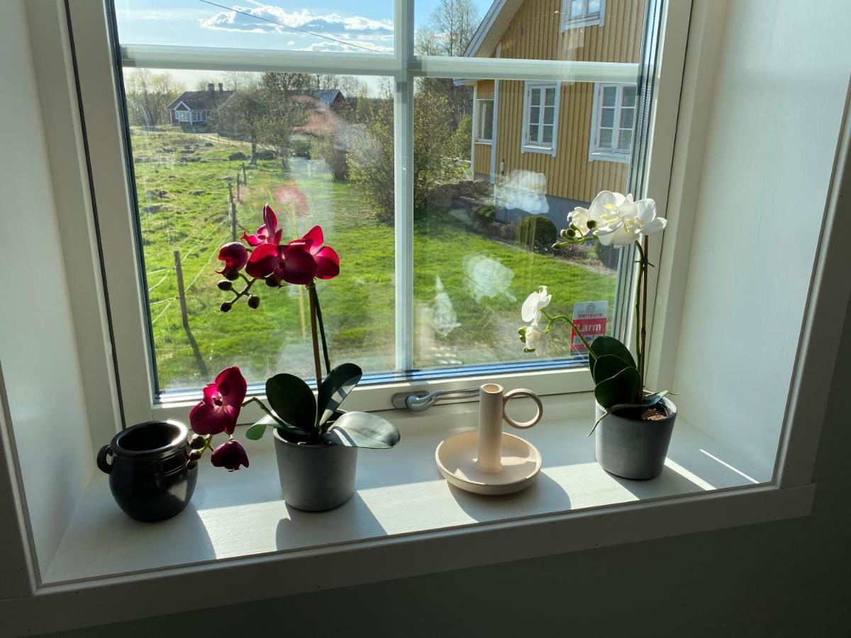 Skog Fegen Naera Ullared Villa Ngoại thất bức ảnh